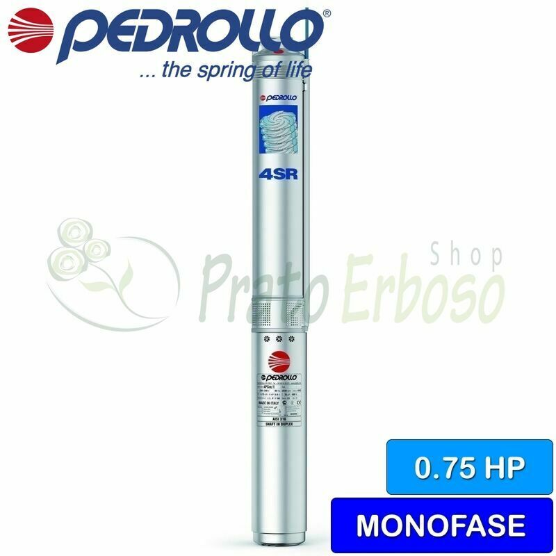 Pedrollo - 4SRm 1/17 F-PS - Bomba eléctrica sumergible monofásica de 0,75 HP
Pedrollo - 4SRm 1/17 F-PS - Bomba eléctrica sumergible monofásica de 0,75 HP