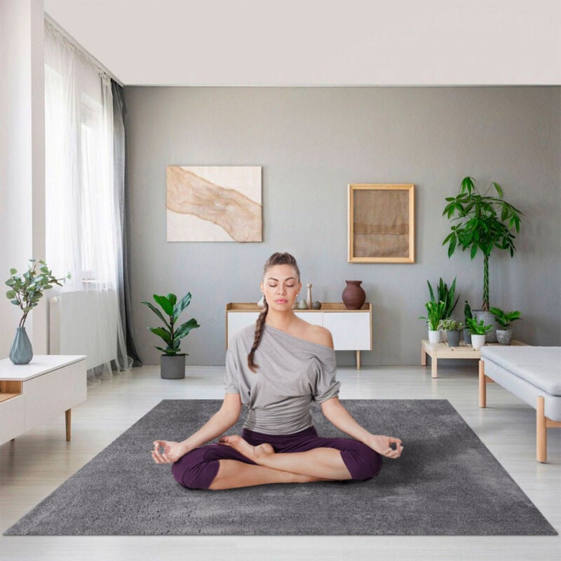 Alfombra de salón de diseño antiestrés antiestático moderno Milano GRI102 | 160 x 230
Alfombra de salón de diseño antiestrés antiestático moderno Milano GRI102 | 160 x 230