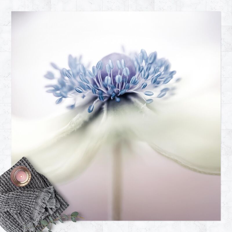 Bilderwelten - Alfombras vinílicas - Anemone In Violet - Cuadrado 1:1 Dimensión LxA: 100cm x 100cm
Bilderwelten - Alfombras vinílicas - Anemone In Violet - Cuadrado 1:1 Dimensión LxA: 100cm x 100cm