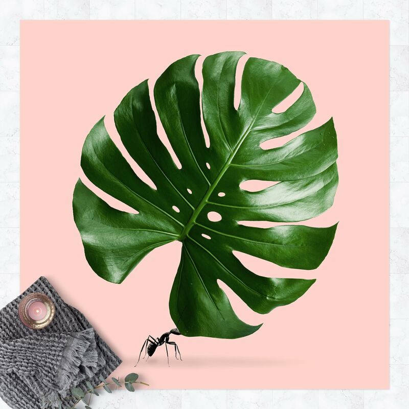 Bilderwelten - Alfombras vinílicas - Ant With Monstera Leaf - Cuadrado 1:1 Dimensión LxA: 100cm x 100cm
Bilderwelten - Alfombras vinílicas - Ant With Monstera Leaf - Cuadrado 1:1 Dimensión LxA: 100cm x 100cm