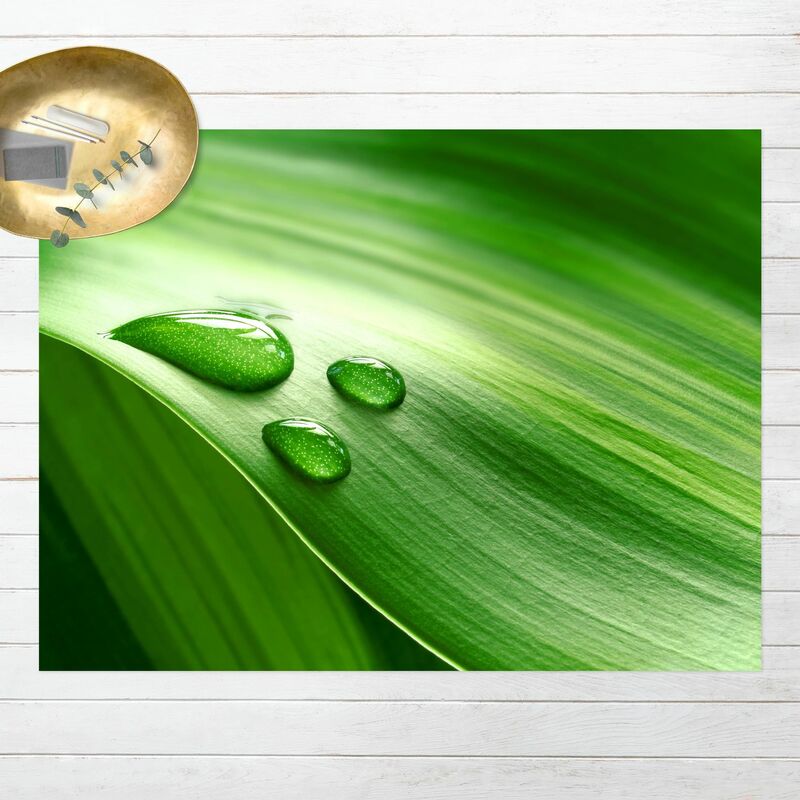 Alfombras vinílicas - Banana Leaf With Drops - Apaisado 3:4 Dimensión LxA: 45cm x 60cm
Alfombras vinílicas - Banana Leaf With Drops - Apaisado 3:4 Dimensión LxA: 45cm x 60cm