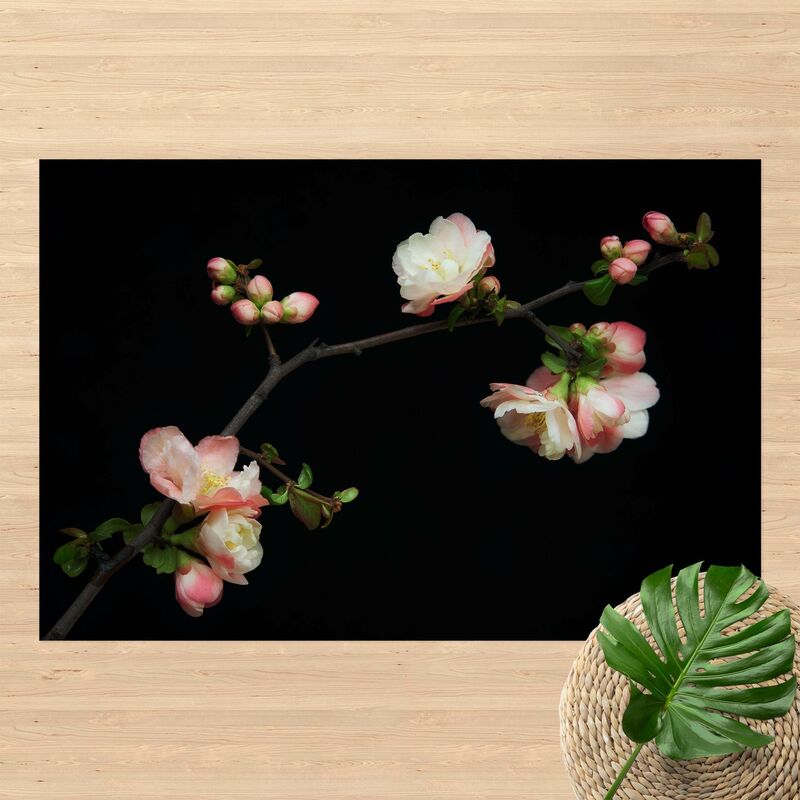 Bilderwelten - Alfombras vinílicas - Blossoming Branch Apple Tree - Apaisado 2:3 Dimensión LxA: 140cm x 210cm
Bilderwelten - Alfombras vinílicas - Blossoming Branch Apple Tree - Apaisado 2:3 Dimensión LxA: 140cm x 210cm