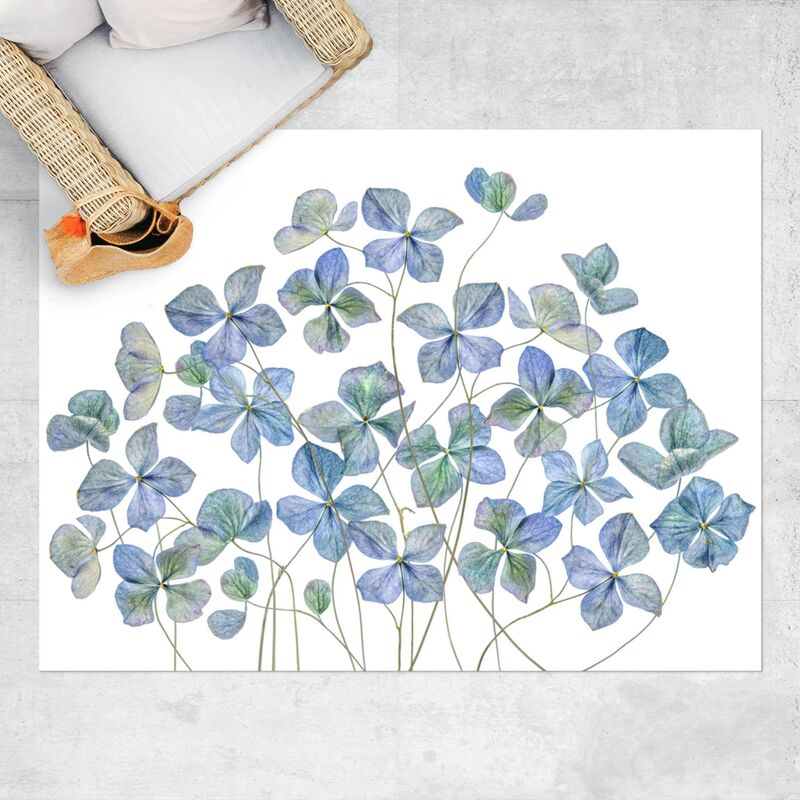 Alfombras vinílicas - Blue Hydrangea Flowers - Apaisado 3:4 Dimensión LxA: 120cm x 160cm
Alfombras vinílicas - Blue Hydrangea Flowers - Apaisado 3:4 Dimensión LxA: 120cm x 160cm