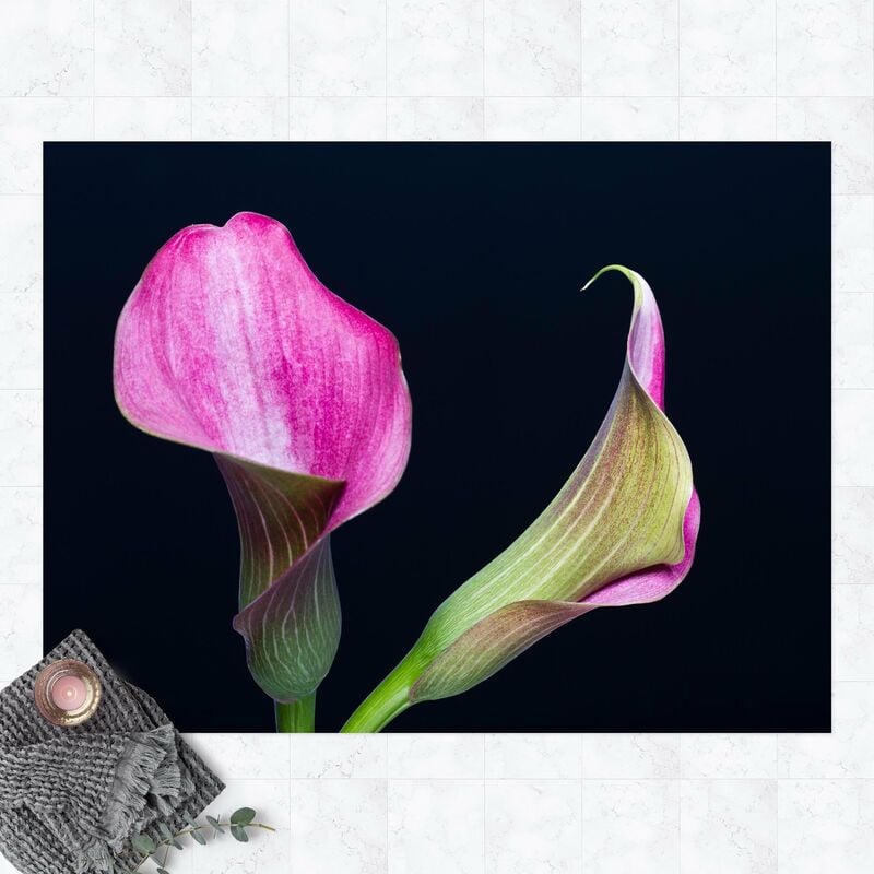 Alfombras vinílicas - Calla Close-Up Black Backdrop - Apaisado 3:4 Dimensión LxA: 120cm x 160cm
Alfombras vinílicas - Calla Close-Up Black Backdrop - Apaisado 3:4 Dimensión LxA: 120cm x 160cm
