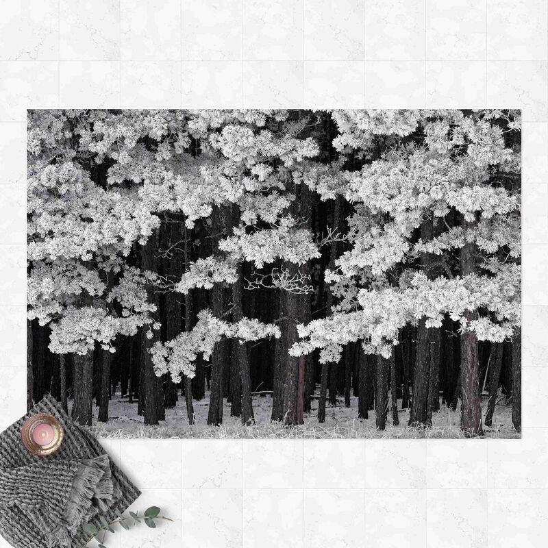 Alfombras vinílicas - Forest With Rime In Austria - Apaisado 2:3 Dimensión LxA: 40cm x 60cm
Alfombras vinílicas - Forest With Rime In Austria - Apaisado 2:3 Dimensión LxA: 40cm x 60cm