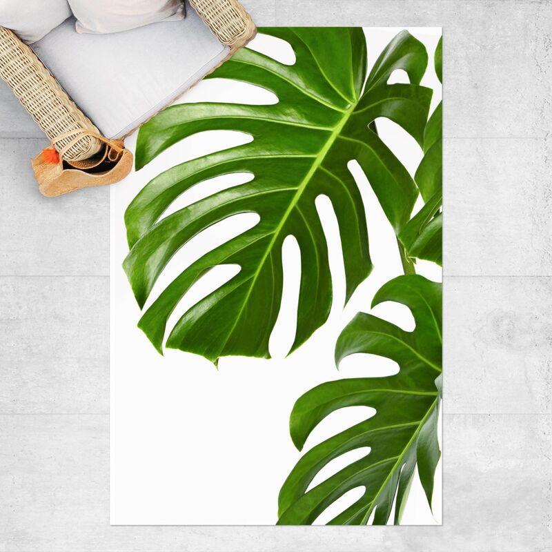 Alfombras vinílicas - Green Leaves Monstera - Alto 3:2 Dimensión LxA: 150cm x 100cm
Alfombras vinílicas - Green Leaves Monstera - Alto 3:2 Dimensión LxA: 150cm x 100cm