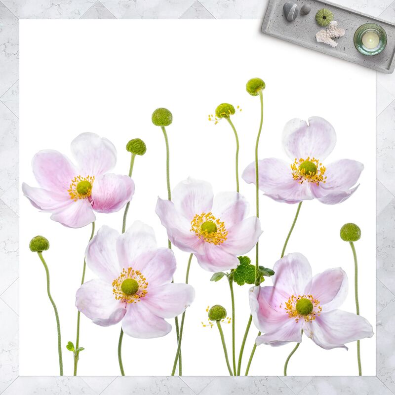 Bilderwelten - Alfombras vinílicas - Japanese Anemone - Cuadrado 1:1 Dimensión LxA: 120cm x 120cm
Bilderwelten - Alfombras vinílicas - Japanese Anemone - Cuadrado 1:1 Dimensión LxA: 120cm x 120cm