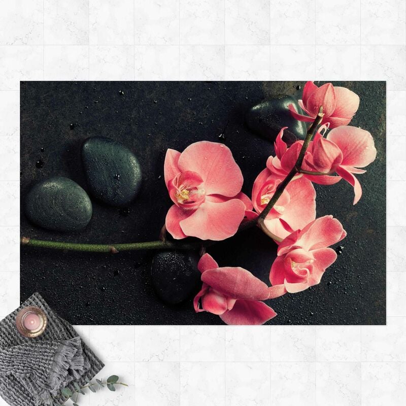 Alfombras vinílicas - Light Pink Orchid - Apaisado 2:3 Dimensión LxA: 100cm x 150cm
Alfombras vinílicas - Light Pink Orchid - Apaisado 2:3 Dimensión LxA: 100cm x 150cm