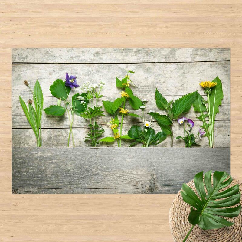 Bilderwelten - Alfombras vinílicas - Medicinal And Meadow Herbs - Apaisado 2:3 Dimensión LxA: 140cm x 210cm
Bilderwelten - Alfombras vinílicas - Medicinal And Meadow Herbs - Apaisado 2:3 Dimensión LxA: 140cm x 210cm