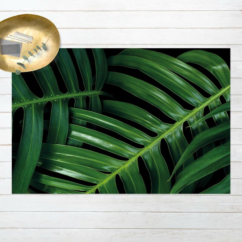 Alfombras vinílicas - Palm Leaves - Apaisado 2:3 Dimensión LxA: 60cm x 90cm
Alfombras vinílicas - Palm Leaves - Apaisado 2:3 Dimensión LxA: 60cm x 90cm