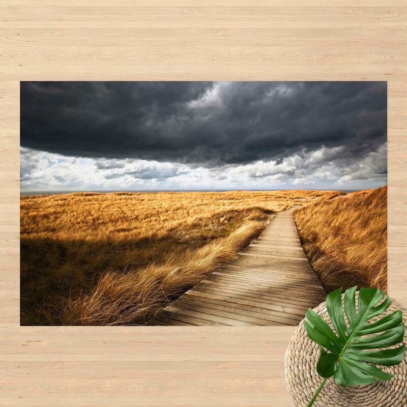 Alfombras vinílicas - Path Between Dunes - Apaisado 2:3 Dimensión LxA: 80cm x 120cm
Alfombras vinílicas - Path Between Dunes - Apaisado 2:3 Dimensión LxA: 80cm x 120cm