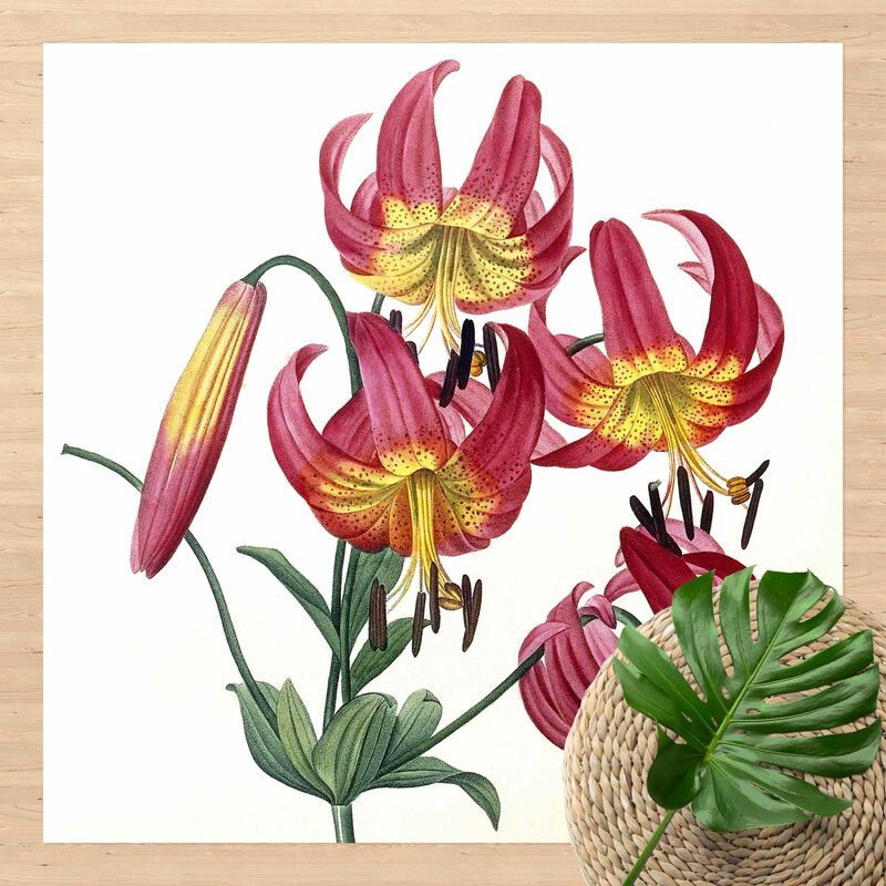 Bilderwelten - Alfombras vinílicas - Pierre Joseph Redoute - Lilium Superbum - Cuadrado 1:1 Dimensión LxA: 140cm x 140cm
Bilderwelten - Alfombras vinílicas - Pierre Joseph Redoute - Lilium Superbum - Cuadrado 1:1 Dimensión LxA: 140cm x 140cm