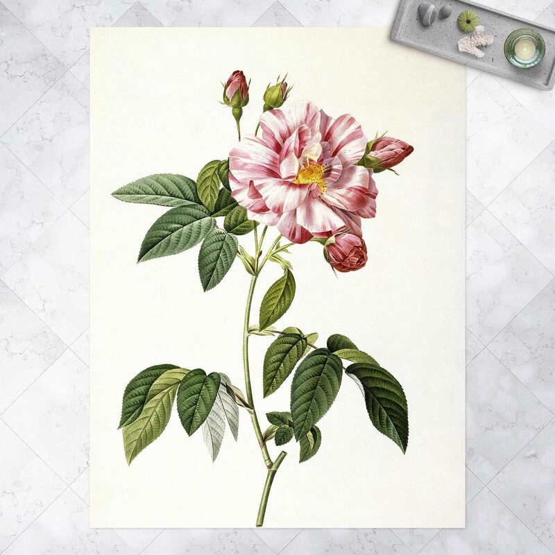Alfombras vinílicas - Pierre Joseph Redoute - Rosa Gallica Rose - Alto 4:3 Dimensión LxA: 100cm x 75cm
Alfombras vinílicas - Pierre Joseph Redoute - Rosa Gallica Rose - Alto 4:3 Dimensión LxA: 100cm x 75cm