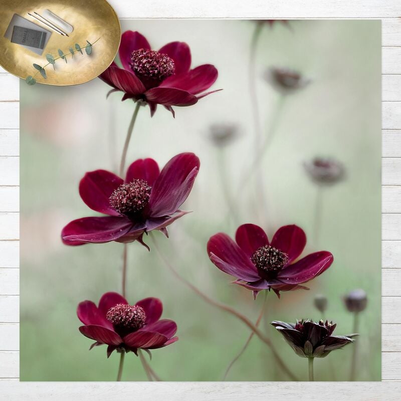 Bilderwelten - Alfombras vinílicas - Pink Cosmos Flower - Cuadrado 1:1 Dimensión LxA: 120cm x 120cm
Bilderwelten - Alfombras vinílicas - Pink Cosmos Flower - Cuadrado 1:1 Dimensión LxA: 120cm x 120cm