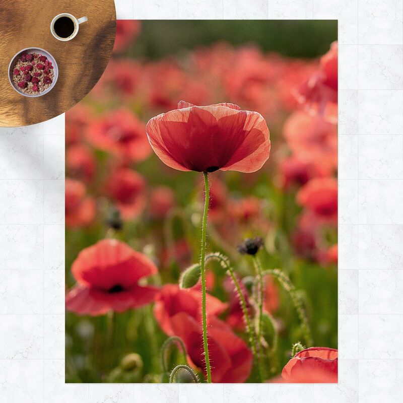 Alfombras vinílicas - Poppy Field In Sunlight - Alto 4:3 Dimensión LxA: 160cm x 120cm
Alfombras vinílicas - Poppy Field In Sunlight - Alto 4:3 Dimensión LxA: 160cm x 120cm