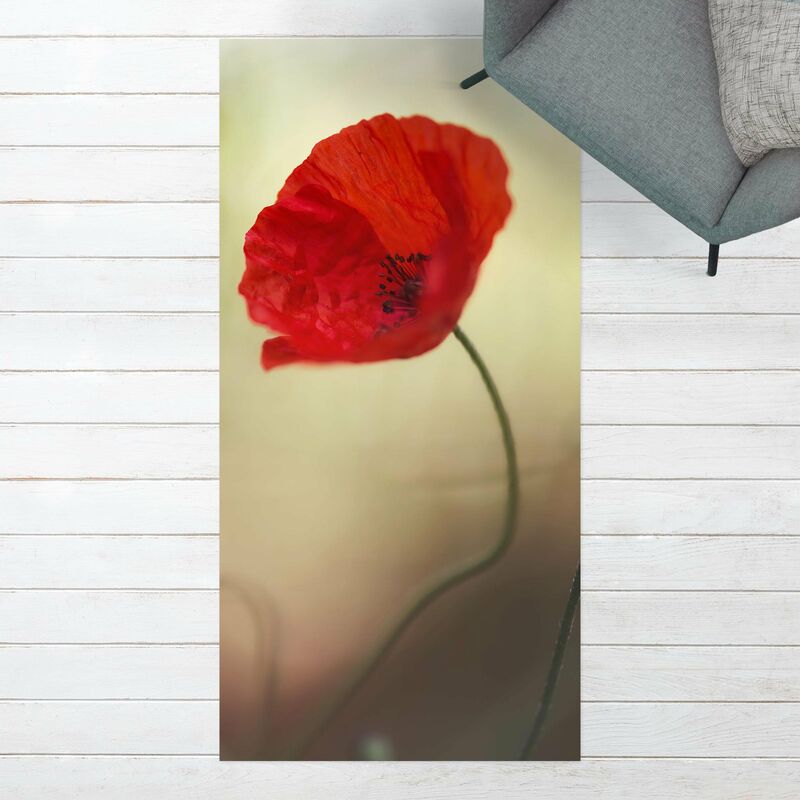 Bilderwelten - Alfombras vinílicas - Poppy In The Garden - Alto 2:1 Dimensión LxA: 160cm x 80cm
Bilderwelten - Alfombras vinílicas - Poppy In The Garden - Alto 2:1 Dimensión LxA: 160cm x 80cm