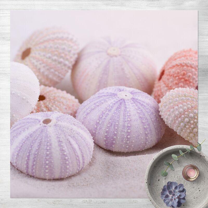 Bilderwelten - Alfombras vinílicas - Sea Urchin In Pastel - Cuadrado 1:1 Dimensión LxA: 120cm x 120cm
Bilderwelten - Alfombras vinílicas - Sea Urchin In Pastel - Cuadrado 1:1 Dimensión LxA: 120cm x 120cm