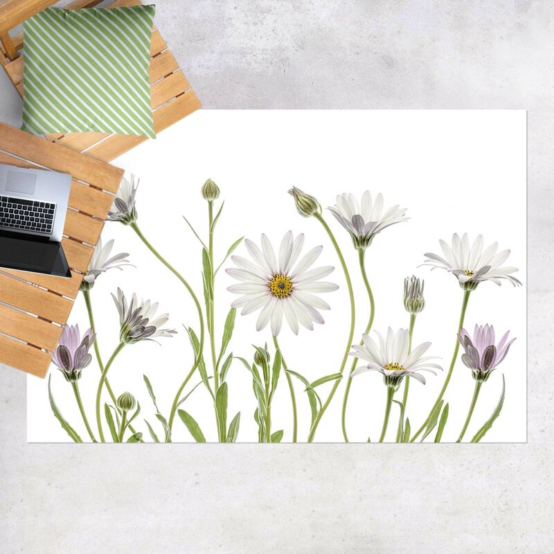 Alfombras vinílicas - Southafrican Daisy - Apaisado 2:3 Dimensión LxA: 100cm x 150cm
Alfombras vinílicas - Southafrican Daisy - Apaisado 2:3 Dimensión LxA: 100cm x 150cm