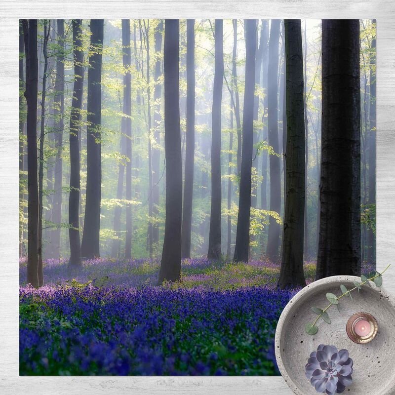 Bilderwelten - Alfombras vinílicas - Spring Day In The Forest - Cuadrado 1:1 Dimensión LxA: 140cm x 140cm
Bilderwelten - Alfombras vinílicas - Spring Day In The Forest - Cuadrado 1:1 Dimensión LxA: 140cm x 140cm