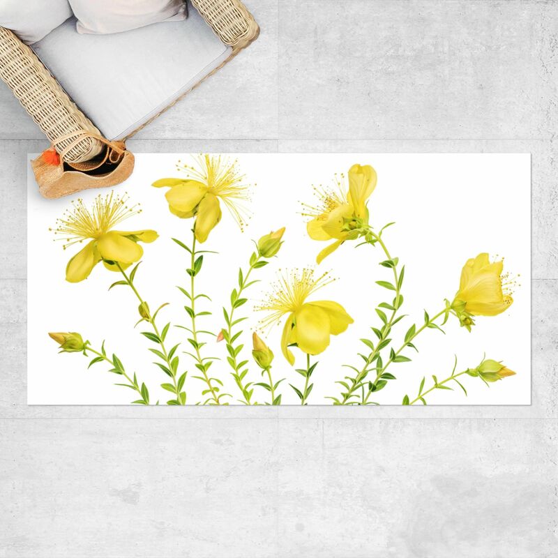 Alfombras vinílicas - St. John's Wort In Full Bloom - Apaisado 1:2 Dimensión LxA: 70cm x 140cm
Alfombras vinílicas - St. John's Wort In Full Bloom - Apaisado 1:2 Dimensión LxA: 70cm x 140cm
