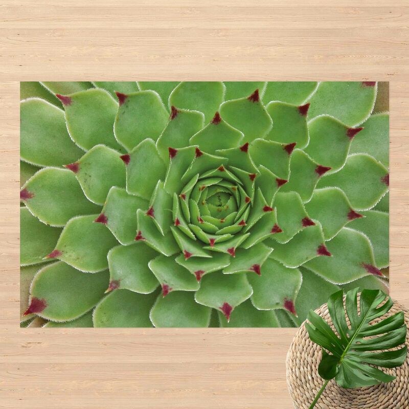 Alfombras vinílicas - Succulent Pattern - Apaisado 2:3 Dimensión LxA: 60cm x 90cm
Alfombras vinílicas - Succulent Pattern - Apaisado 2:3 Dimensión LxA: 60cm x 90cm