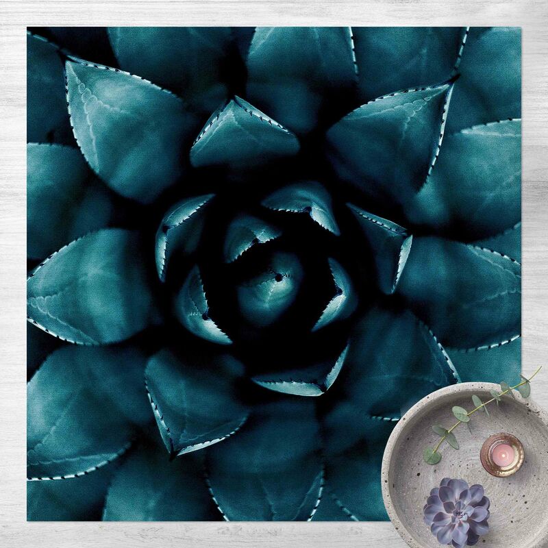 Bilderwelten - Alfombras vinílicas - Succulent Petrol II - Cuadrado 1:1 Dimensión LxA: 120cm x 120cm
Bilderwelten - Alfombras vinílicas - Succulent Petrol II - Cuadrado 1:1 Dimensión LxA: 120cm x 120cm