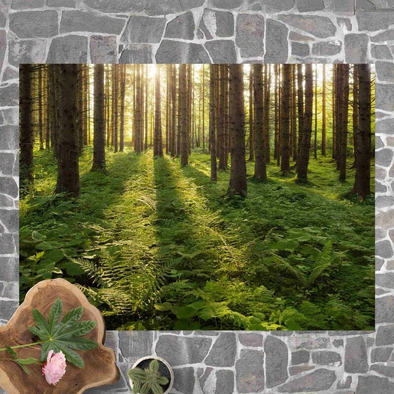 Alfombras vinílicas - Sun Rays In Green Forest - Apaisado 3:4 Dimensión LxA: 90cm x 120cm
Alfombras vinílicas - Sun Rays In Green Forest - Apaisado 3:4 Dimensión LxA: 90cm x 120cm