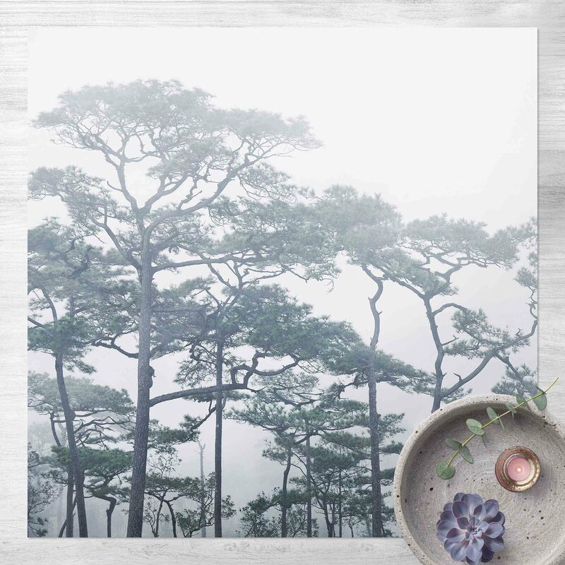 Bilderwelten - Alfombras vinílicas - Treetops In Fog - Cuadrado 1:1 Dimensión LxA: 120cm x 120cm
Bilderwelten - Alfombras vinílicas - Treetops In Fog - Cuadrado 1:1 Dimensión LxA: 120cm x 120cm