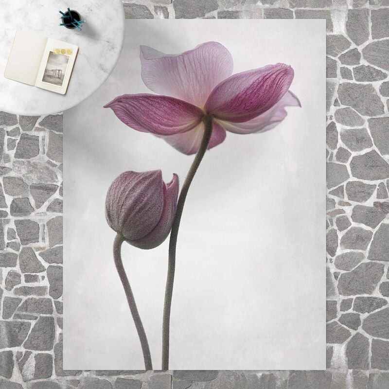Alfombras vinílicas - Anemone In Light Pink - Alto 4:3 Dimensión LxA: 180cm x 135cm
Alfombras vinílicas - Anemone In Light Pink - Alto 4:3 Dimensión LxA: 180cm x 135cm