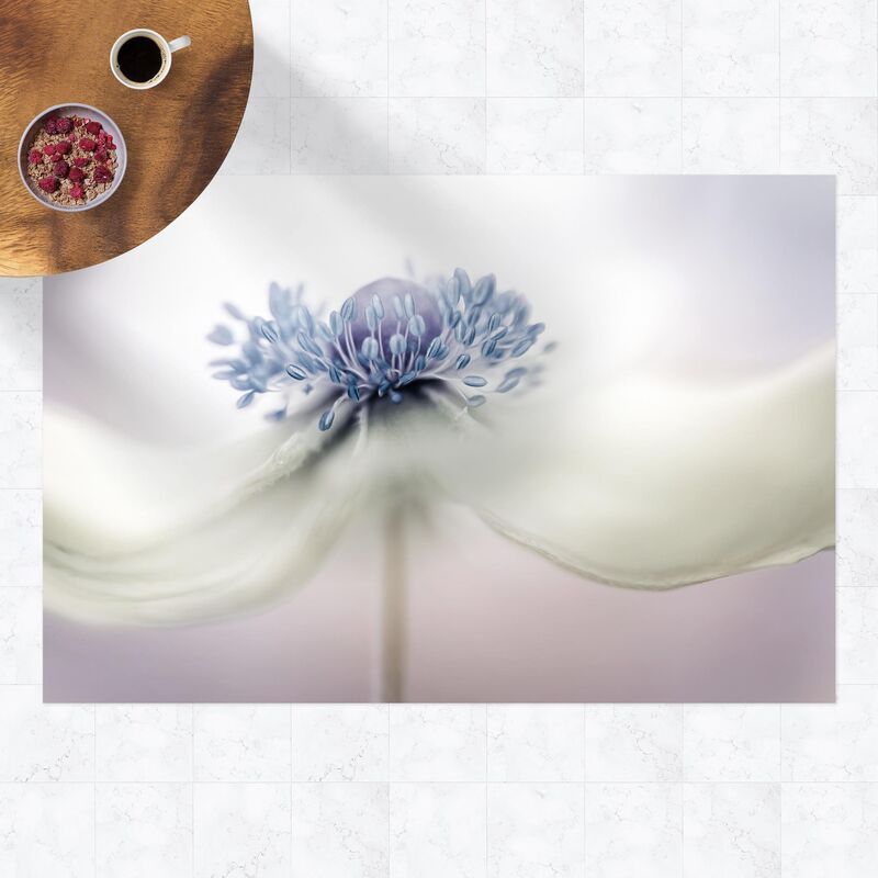 Alfombras vinílicas - Anemone In Violet - Apaisado 2:3 Dimensión LxA: 120cm x 180cm
Alfombras vinílicas - Anemone In Violet - Apaisado 2:3 Dimensión LxA: 120cm x 180cm