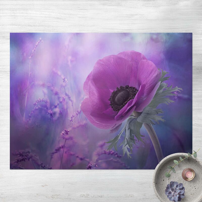 Alfombras vinílicas - Anemone In Violet - Apaisado 3:4 Dimensión LxA: 75cm x 100cm
Alfombras vinílicas - Anemone In Violet - Apaisado 3:4 Dimensión LxA: 75cm x 100cm