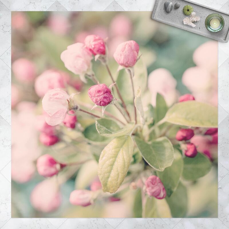 Alfombras vinílicas - Apple Blossom Bokeh Light Pink - Cuadrado 1:1 Dimensión LxA: 80cm x 80cm
Alfombras vinílicas - Apple Blossom Bokeh Light Pink - Cuadrado 1:1 Dimensión LxA: 80cm x 80cm