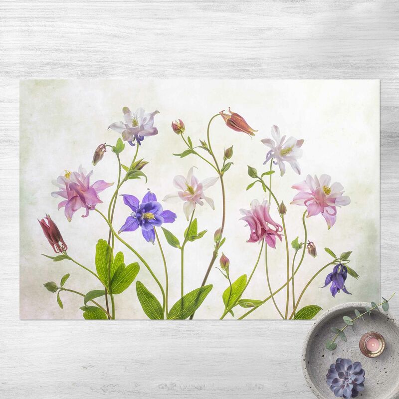 Alfombras vinílicas - Aquilegia Vulgaris - Apaisado 2:3 Dimensión LxA: 80cm x 120cm
Alfombras vinílicas - Aquilegia Vulgaris - Apaisado 2:3 Dimensión LxA: 80cm x 120cm