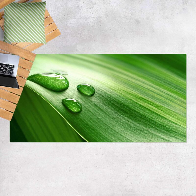 Alfombras vinílicas - Banana Leaf With Drops - Apaisado 1:2 Dimensión LxA: 110cm x 220cm
Alfombras vinílicas - Banana Leaf With Drops - Apaisado 1:2 Dimensión LxA: 110cm x 220cm
