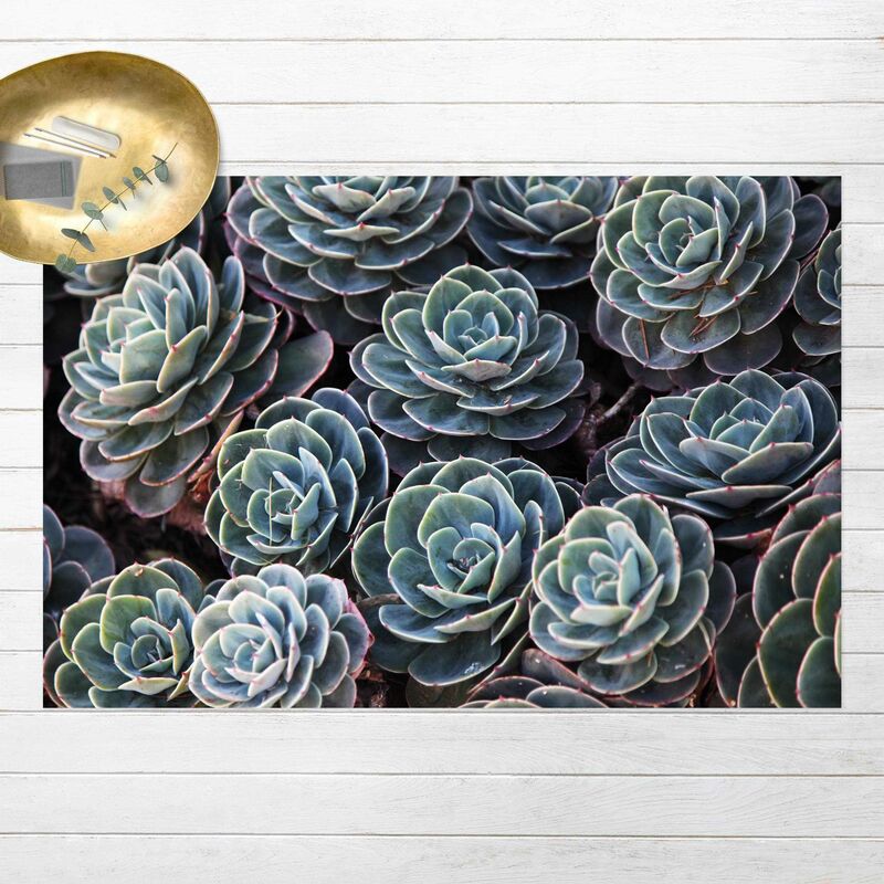 Alfombras vinílicas - Bed Of Succulent Plants - Apaisado 2:3 Dimensión LxA: 40cm x 60cm
Alfombras vinílicas - Bed Of Succulent Plants - Apaisado 2:3 Dimensión LxA: 40cm x 60cm