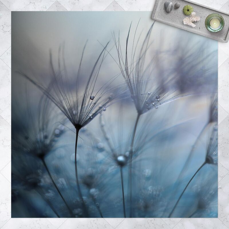 Bilderwelten - Alfombras vinílicas - Blue feathers In The Rain - Cuadrado 1:1 Dimensión LxA: 40cm x 40cm
Bilderwelten - Alfombras vinílicas - Blue feathers In The Rain - Cuadrado 1:1 Dimensión LxA: 40cm x 40cm