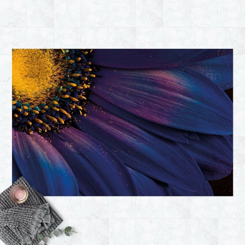 Bilderwelten - Alfombras vinílicas - Blue Gerbera Flower - Apaisado 2:3 Dimensión LxA: 140cm x 210cm
Bilderwelten - Alfombras vinílicas - Blue Gerbera Flower - Apaisado 2:3 Dimensión LxA: 140cm x 210cm