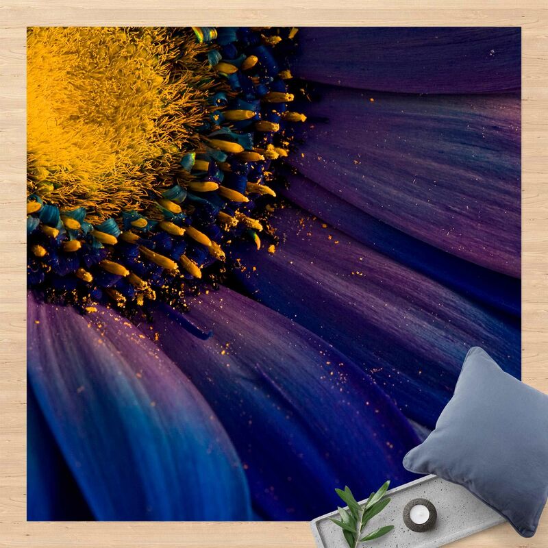 Bilderwelten - Alfombras vinílicas - Blue Gerbera Flower - Cuadrado 1:1 Dimensión LxA: 140cm x 140cm
Bilderwelten - Alfombras vinílicas - Blue Gerbera Flower - Cuadrado 1:1 Dimensión LxA: 140cm x 140cm