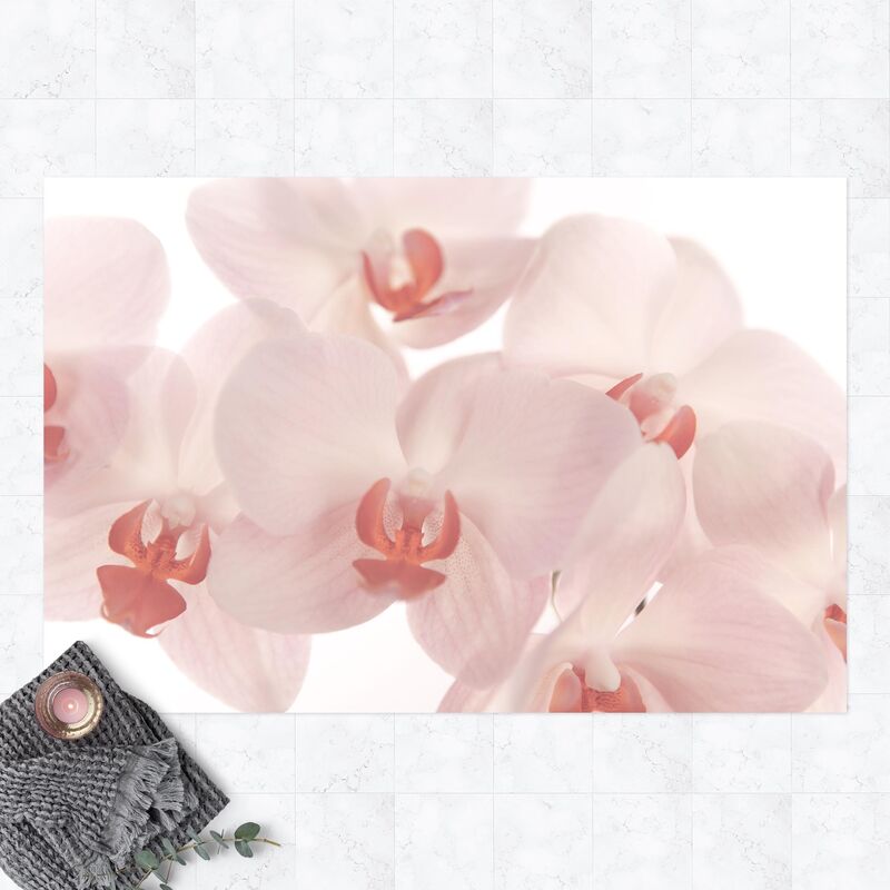 Alfombras vinílicas - Bright Orchid Flower Wallpaper - Svelte Orchids - Apaisado 2:3 Dimensión LxA: 40cm x 60cm
Alfombras vinílicas - Bright Orchid Flower Wallpaper - Svelte Orchids - Apaisado 2:3 Dimensión LxA: 40cm x 60cm