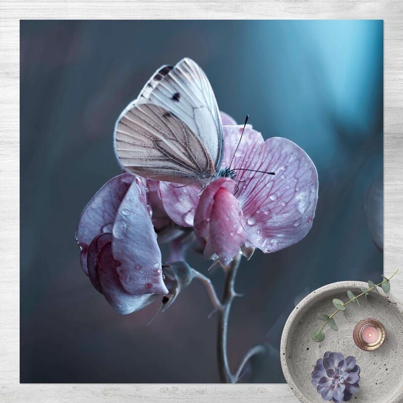 Bilderwelten - Alfombras vinílicas - Butterfly In The Rain - Cuadrado 1:1 Dimensión LxA: 140cm x 140cm
Bilderwelten - Alfombras vinílicas - Butterfly In The Rain - Cuadrado 1:1 Dimensión LxA: 140cm x 140cm