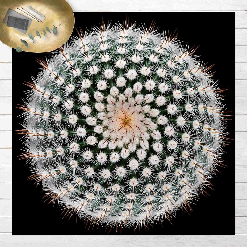 Bilderwelten - Alfombras vinílicas - Cactus Flower - Cuadrado 1:1 Dimensión LxA: 100cm x 100cm
Bilderwelten - Alfombras vinílicas - Cactus Flower - Cuadrado 1:1 Dimensión LxA: 100cm x 100cm