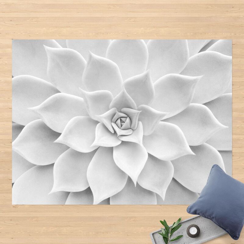 Alfombras vinílicas - Cactus Succulent - Apaisado 3:4 Dimensión LxA: 105cm x 140cm
Alfombras vinílicas - Cactus Succulent - Apaisado 3:4 Dimensión LxA: 105cm x 140cm