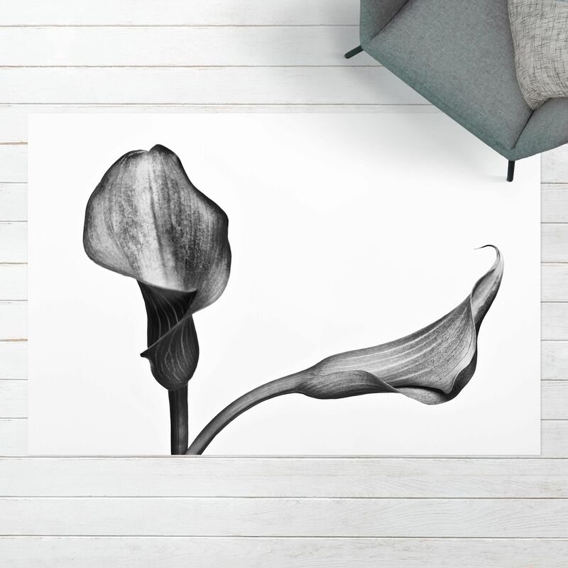 Alfombras vinílicas - Calla Close-Up Black And White - Apaisado 2:3 Dimensión LxA: 100cm x 150cm
Alfombras vinílicas - Calla Close-Up Black And White - Apaisado 2:3 Dimensión LxA: 100cm x 150cm