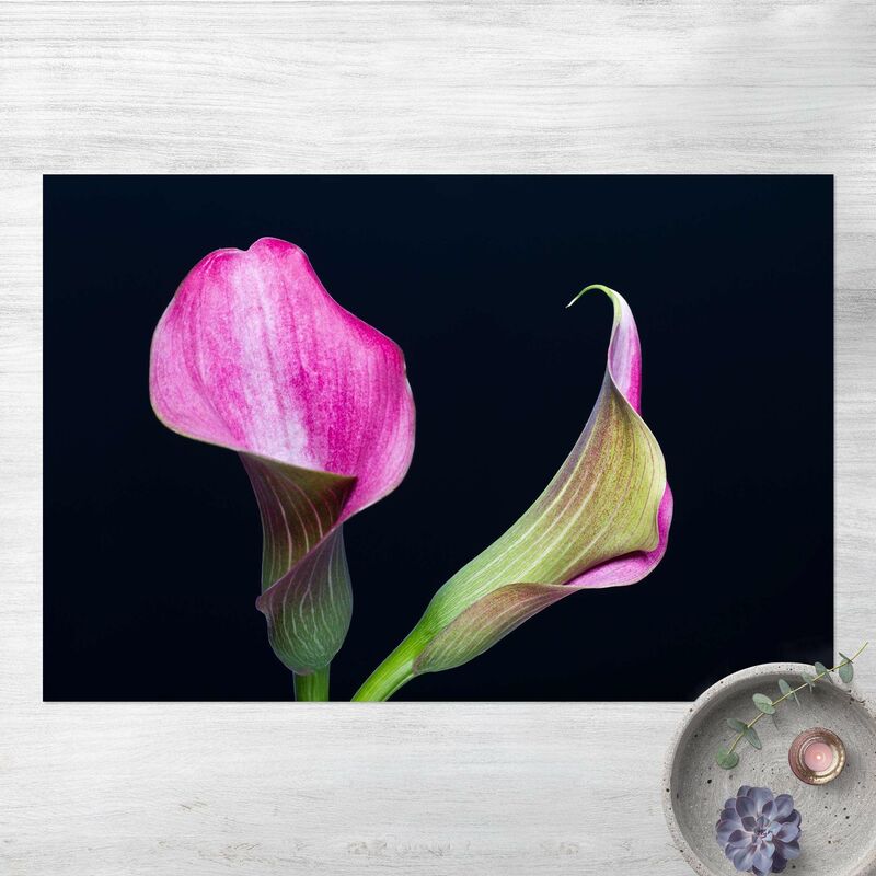 Bilderwelten - Alfombras vinílicas - Calla Close-Up Black Backdrop - Apaisado 2:3 Dimensión LxA: 140cm x 210cm
Bilderwelten - Alfombras vinílicas - Calla Close-Up Black Backdrop - Apaisado 2:3 Dimensión LxA: 140cm x 210cm