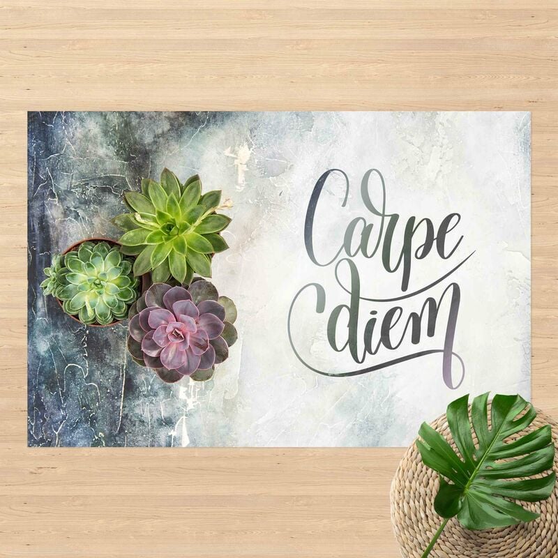 Alfombras vinílicas - Carpe Diem With Succulents - Apaisado 2:3 Dimensión LxA: 80cm x 120cm
Alfombras vinílicas - Carpe Diem With Succulents - Apaisado 2:3 Dimensión LxA: 80cm x 120cm