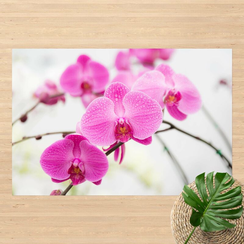 Alfombras vinílicas - Close-Up Orchid - Apaisado 2:3 Dimensión LxA: 120cm x 180cm
Alfombras vinílicas - Close-Up Orchid - Apaisado 2:3 Dimensión LxA: 120cm x 180cm