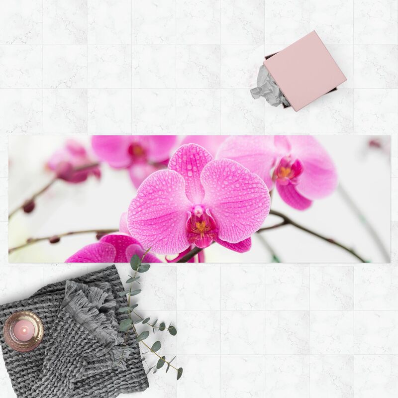 Bilderwelten - Alfombras vinílicas - Close-Up Orchid - Panorama Formato apaisado Dimensión LxA: 100cm x 300cm
Bilderwelten - Alfombras vinílicas - Close-Up Orchid - Panorama Formato apaisado Dimensión LxA: 100cm x 300cm