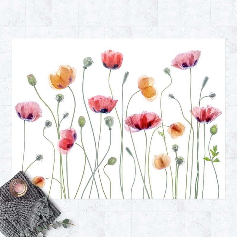 Alfombras vinílicas - Corn Poppy Party - Apaisado 3:4 Dimensión LxA: 135cm x 180cm
Alfombras vinílicas - Corn Poppy Party - Apaisado 3:4 Dimensión LxA: 135cm x 180cm
