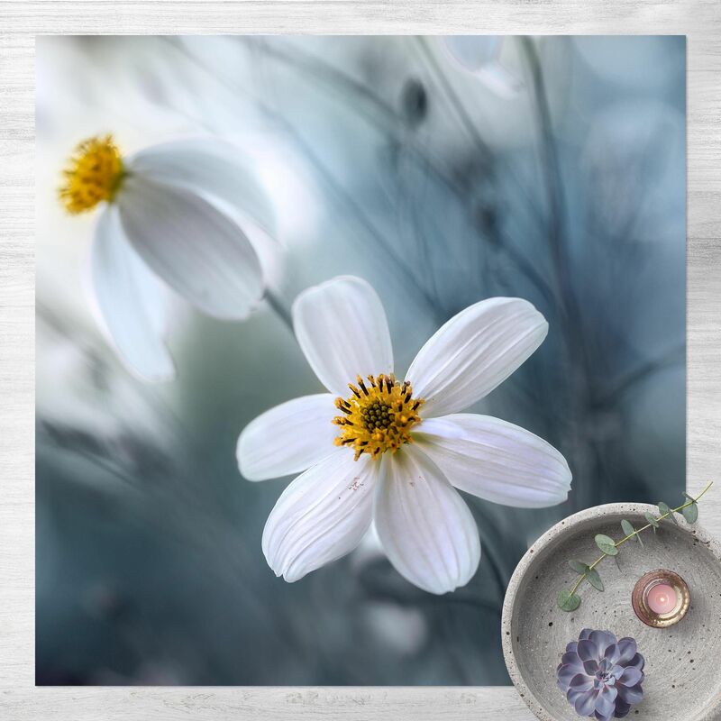 Bilderwelten - Alfombras vinílicas - Cosmos Plant In Watercolour - Cuadrado 1:1 Dimensión LxA: 120cm x 120cm
Bilderwelten - Alfombras vinílicas - Cosmos Plant In Watercolour - Cuadrado 1:1 Dimensión LxA: 120cm x 120cm