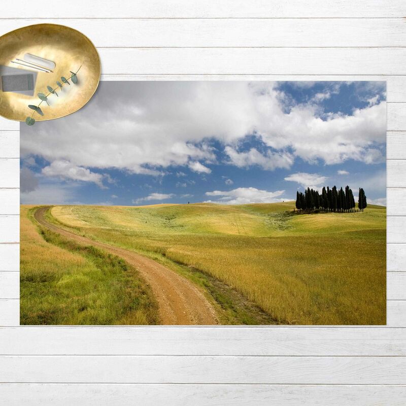 Alfombras vinílicas - Cypresses In Tuscany - Apaisado 2:3 Dimensión LxA: 140cm x 210cm
Alfombras vinílicas - Cypresses In Tuscany - Apaisado 2:3 Dimensión LxA: 140cm x 210cm